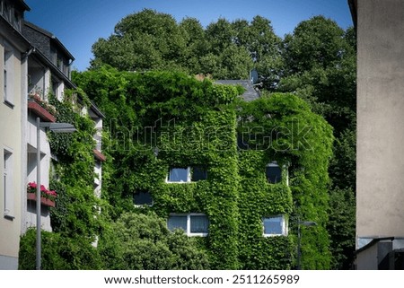 Image, Stock Photo Cologne Wall