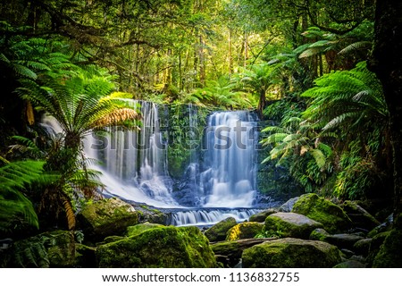 Similar – Foto Bild Wasserfall Umwelt Natur