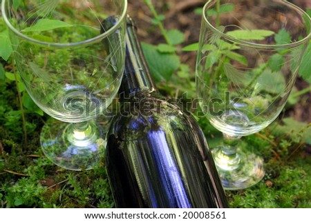 A bottle of wine with 2 glasses in a natural forest setting.