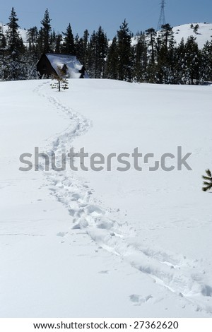 Snowshoe tracks in fresh snow leading back to the cabin in the countryside.