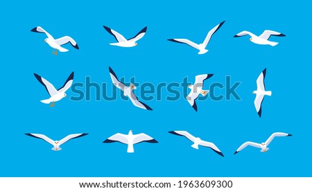 Sea gulls flying in sky. Set of seabirds. Isolated silhouettes on blue background. Vector illustration in flat style. Stock foto © 