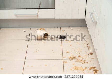 Similar – Image, Stock Photo kitchen Ground floor tiles