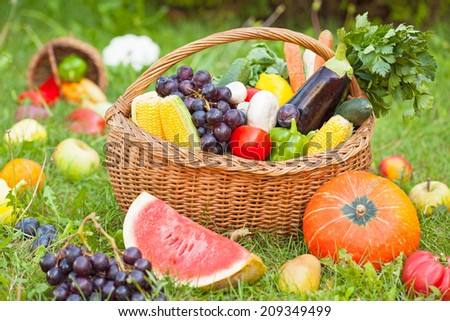 Various fruits and vegetables in basket and around