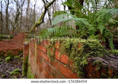 Old torn down brick structure in rural woods Northwest England.