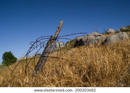 The burnt post with barb wire in the California landscape.