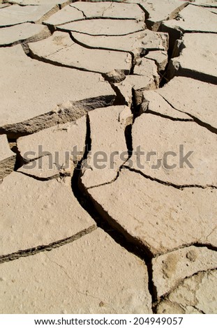 The dry soil in the hot California sun.