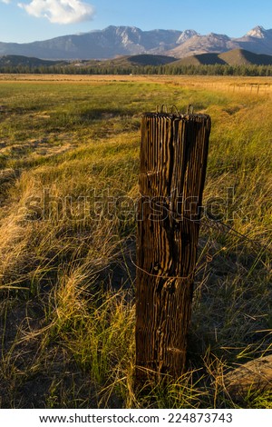 The wooden fence post in the afternoon light.