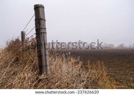 The wooden fence post as the fog starts to lift.