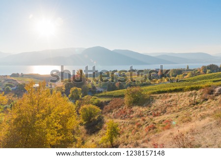 Shutterstock Puzzlepix