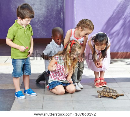 Interracial group of children in petting zoo looking at a turtle