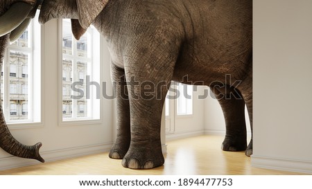 Big elephant in the small room as a funny space problem concept (3d rendering)