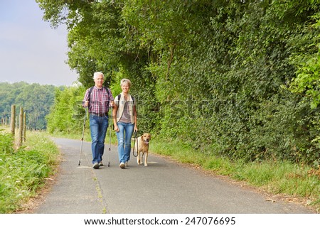 Senior couple walking the dog in the nature in the summer