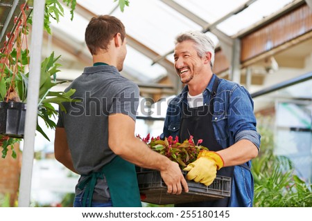 Image, Stock Photo Florist working Floristry