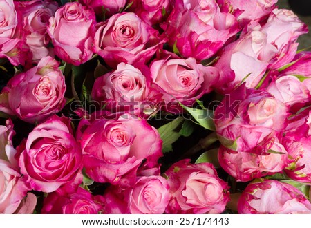 Bouquet of beautiful roses