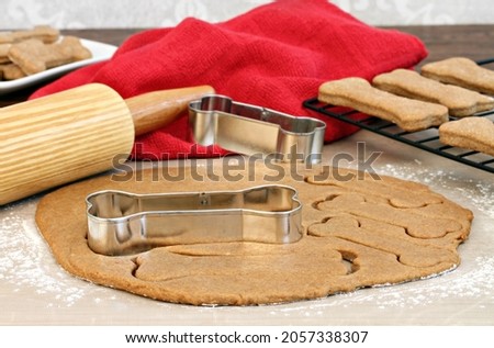 Similar – Image, Stock Photo dog with towel front view
