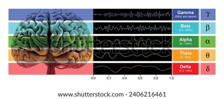 Digital illustration depicting EEG chart showcasing the various types of brain waves generated by human brain activity.