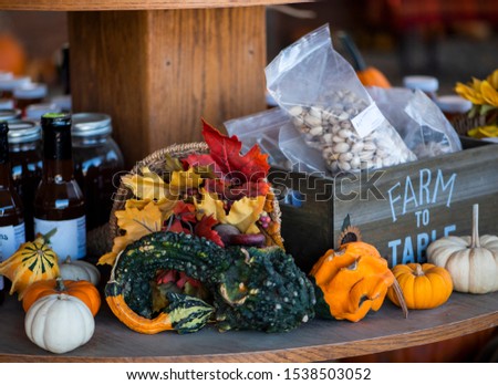 Shutterstock Puzzlepix