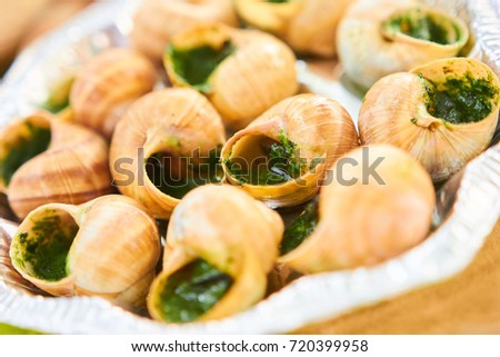 Burgundian snails Imagine de stoc © 