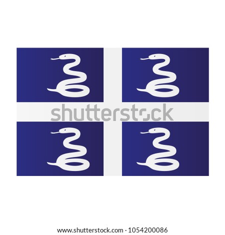 Martinique national flag on white background texture. Vector illustration state symbol.