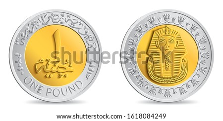 Reverse and obverse of egyptian one pound coin in vector illustration. Translation: 