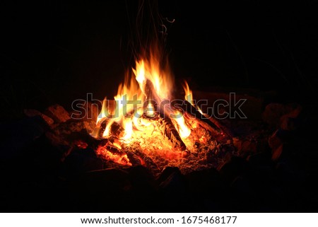 Campfire in the dark. Night campfire.