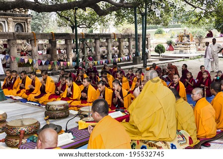 BODHGAYA, INDIA - FEBRUARY 26, 2014: Tibetan monks are celebrating a ceremony beneath the bodhi tree, under which the buddha became enlightened. They are chanting, their drums are lying between them.