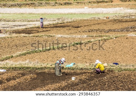 NIAUNGSHWE, MYANMAR - FEBRUARY 4, 2015: Tribal people are working on their fields on the road from Niaungshwe to Loikaw, Myanmar.