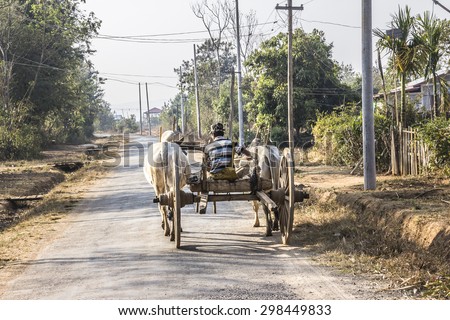 LOIKAW; MYANMAR - FEBRUARY 7, 2015: A farmer is driving his bullock cart along a country road near Loikaw, Myanmar.