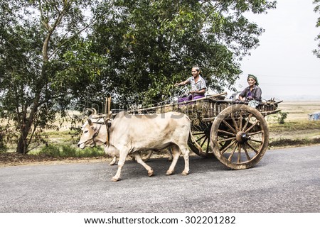 MAWLAMYINE, MYANMAR - FEBRUARY 12, 2015: A farmer and his wife sit on top of a  bullock cart, making a transport on a dirt road in the countryside around Mawlamyine, Myanmar.