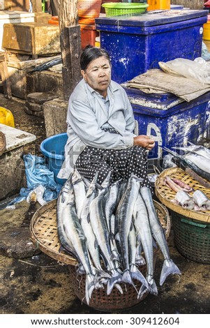 DAWEI, MYANMAR - FEBRUARY 16, 2015: A market vendor on the market of Dawei, Myanmar, is selling fish. She is sittiting on a stool, the fish is  displayed in front of her.