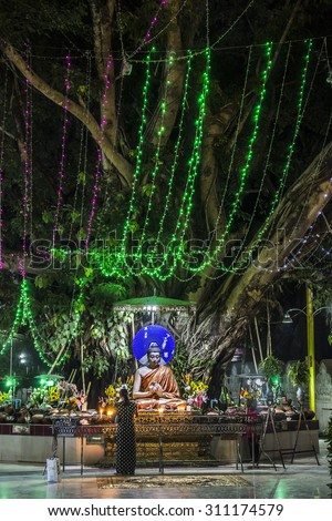 DAWEI, MYANMAR - FEBRUARY 16, 2015:A buddhist believer is worshipping the buddha at night at an illuminated buddha figure beneath a beautiful old bodhi tree at the golden pagoda of Dawei, Myanmar.