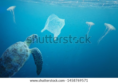 You can see the difference between a jelly fish and a plastic bag floating around under the sea, but a turtle cannot see the difference. Pollution in oceans concept.