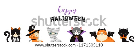 Halloween Cats Costume Party. Illustration and vector elements of group of cats in halloween costumes