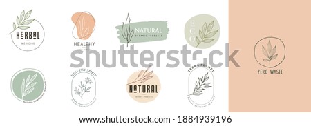Collection of delicate hand drawn logos and icons of organic food, farm fresh and natural products, elements collection for food market, organic products promotion, healthy life and premium quality ストックフォト © 