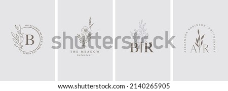 Elegant, botanique logo collection, hand drawn illustrations of flowers, leaves and twig, delicate and minimal monogram design Foto stock © 