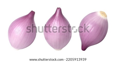 Onions (shallots) isolated on white background,  Onions (shallots) macro studio photo, set Foto stock © 