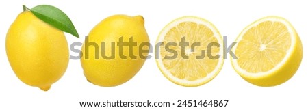 Similar – Image, Stock Photo Citrus ingredients for fresh iced coktail with mint