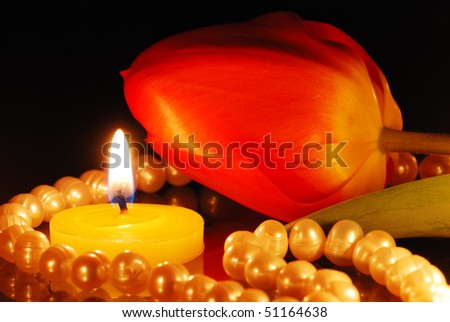Romantic composition with a tulip, beads and a burning candle