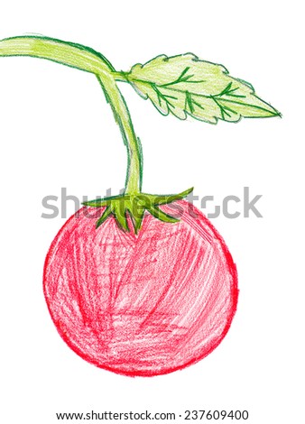 red tomato. children pencil drawing