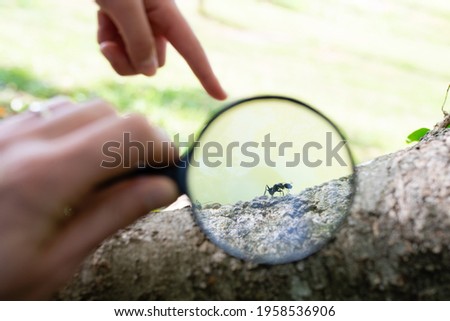 Parents and child observing ants with a magnifying glass 商業照片 © 
