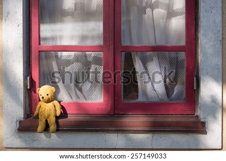 Teddy bear to sit by the window