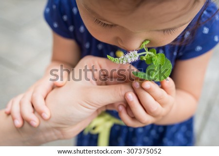 Girl to smell the scent of mint flowers