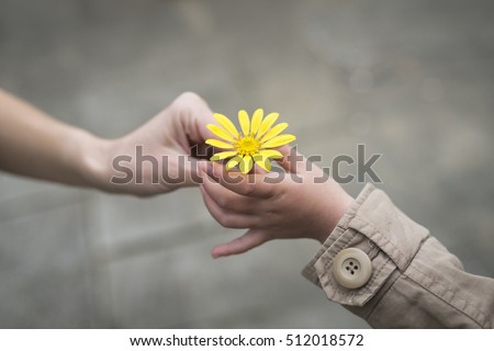 Parent and child hands handing yellow flowers 商業照片 © 
