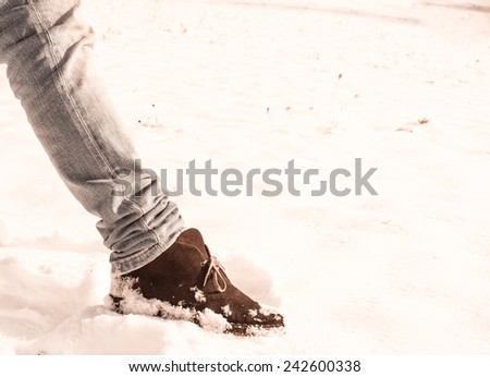 Brown suede Desert Boot covered in snow walking on a snowy field. Vintage effect