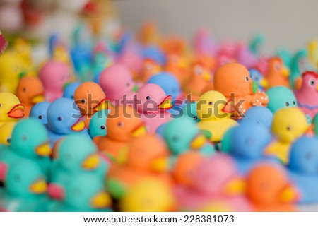 toy duck colorful