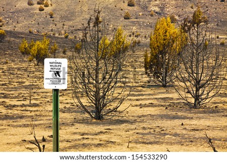 This is a desert wildlife area that was ravaged by a wildfire and now there is no vegetation left.