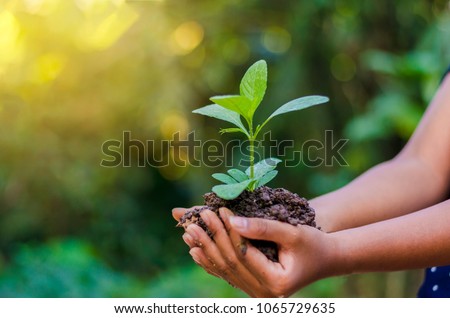 Earth Day In the hands of trees growing seedlings. Bokeh green Background Female hand holding tree on nature field grass Forest conservation concept Stock foto © 
