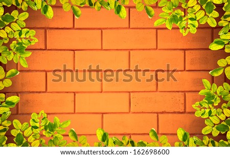 Leaves frame on Wall background