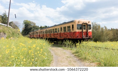 Similar – Image, Stock Photo Passenger train and rapeseed field. Spring landscape at sunrise