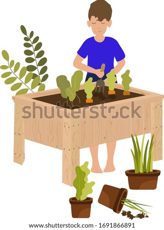 Similar – Image, Stock Photo Boy planting cactus seedling in garden